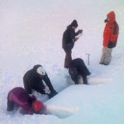 Photo: searching with avalanche transceivers