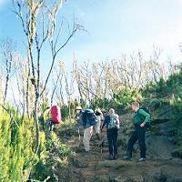 On the way up to the Shira camp