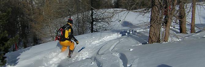 Tree skiing down to Trient